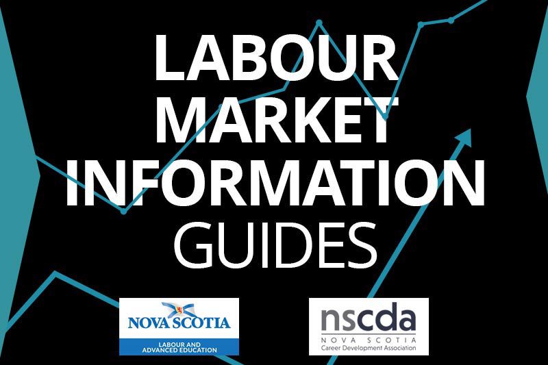 Labour Market Information Guides Banner | NSCDA